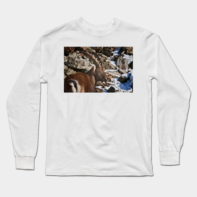 Ibex Long Sleeve T-Shirt by jaydee1400